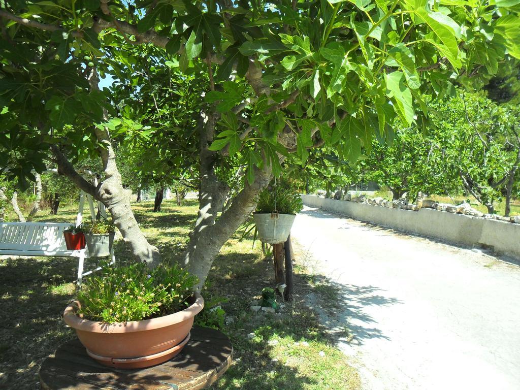 Osteria B&B Il Rifugio Peschici Εξωτερικό φωτογραφία